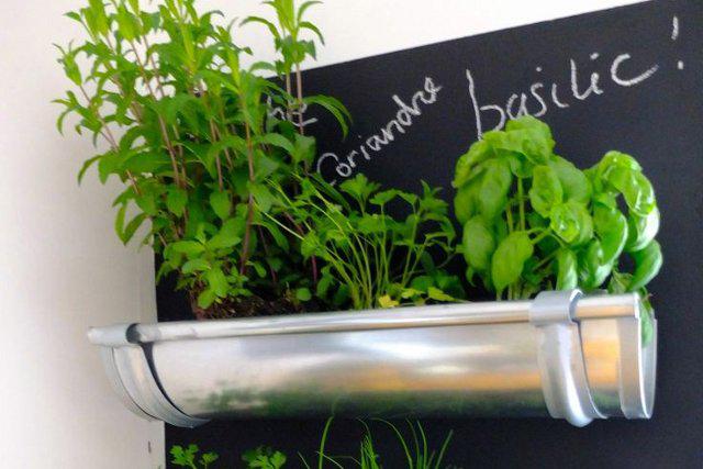 hierbas-para-plantar-en-la-cocina-1