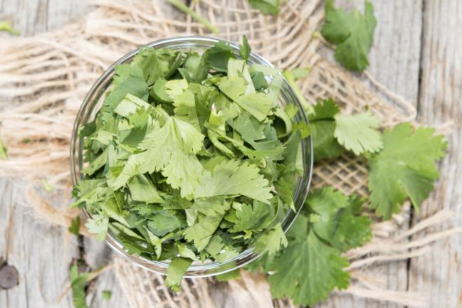 Diferentes-usos-del-cilantro-que-te-sorprenderan-1